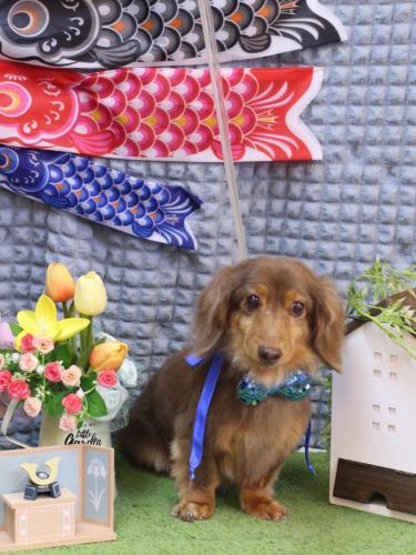 20230528モカくん